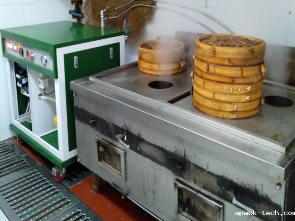 达能蒸汽发生器 达能蒸汽发生器