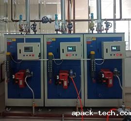 300公斤蒸汽发生器用于麦片生产